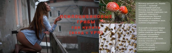 марки nbome Аркадак