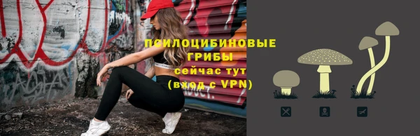 герыч Арсеньев