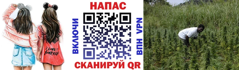 Бошки Шишки VHQ  Лесной 